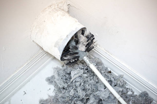 Best Local Air Duct Cleaning Services  in Teaticket, MA